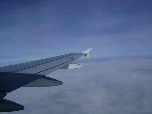 DSC03256_resize.JPG